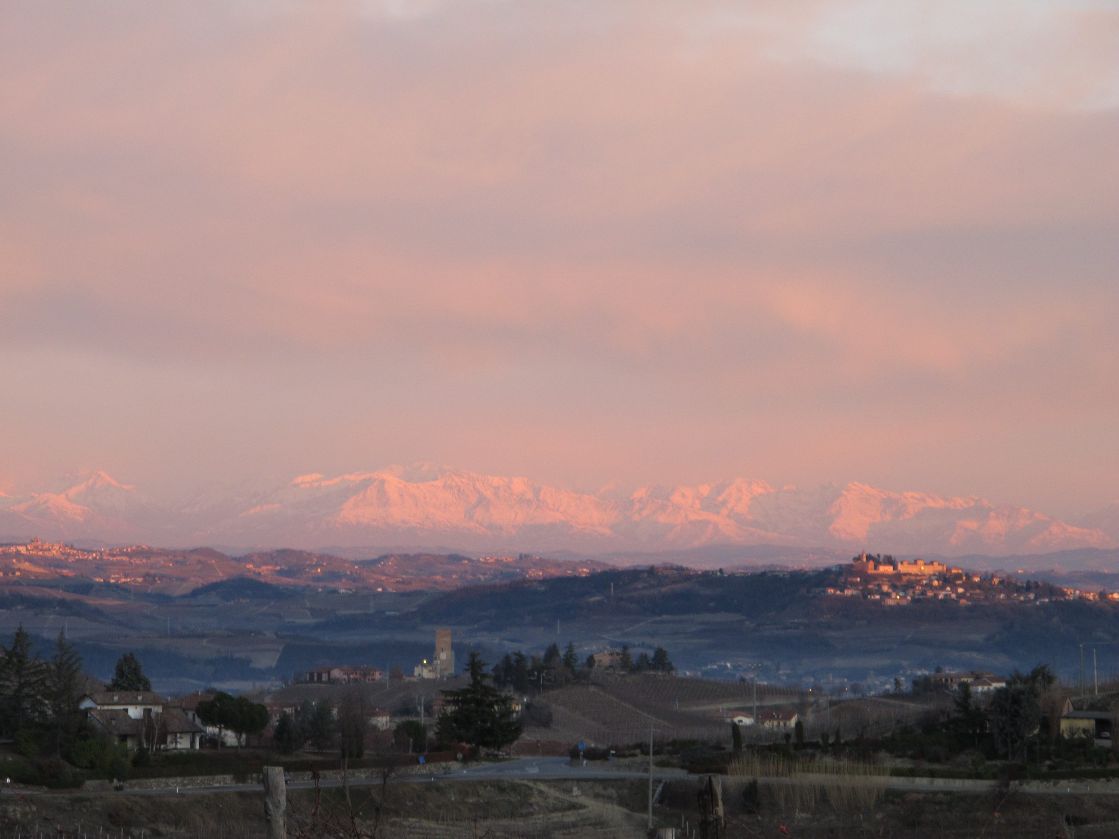 Alps and Vineyard