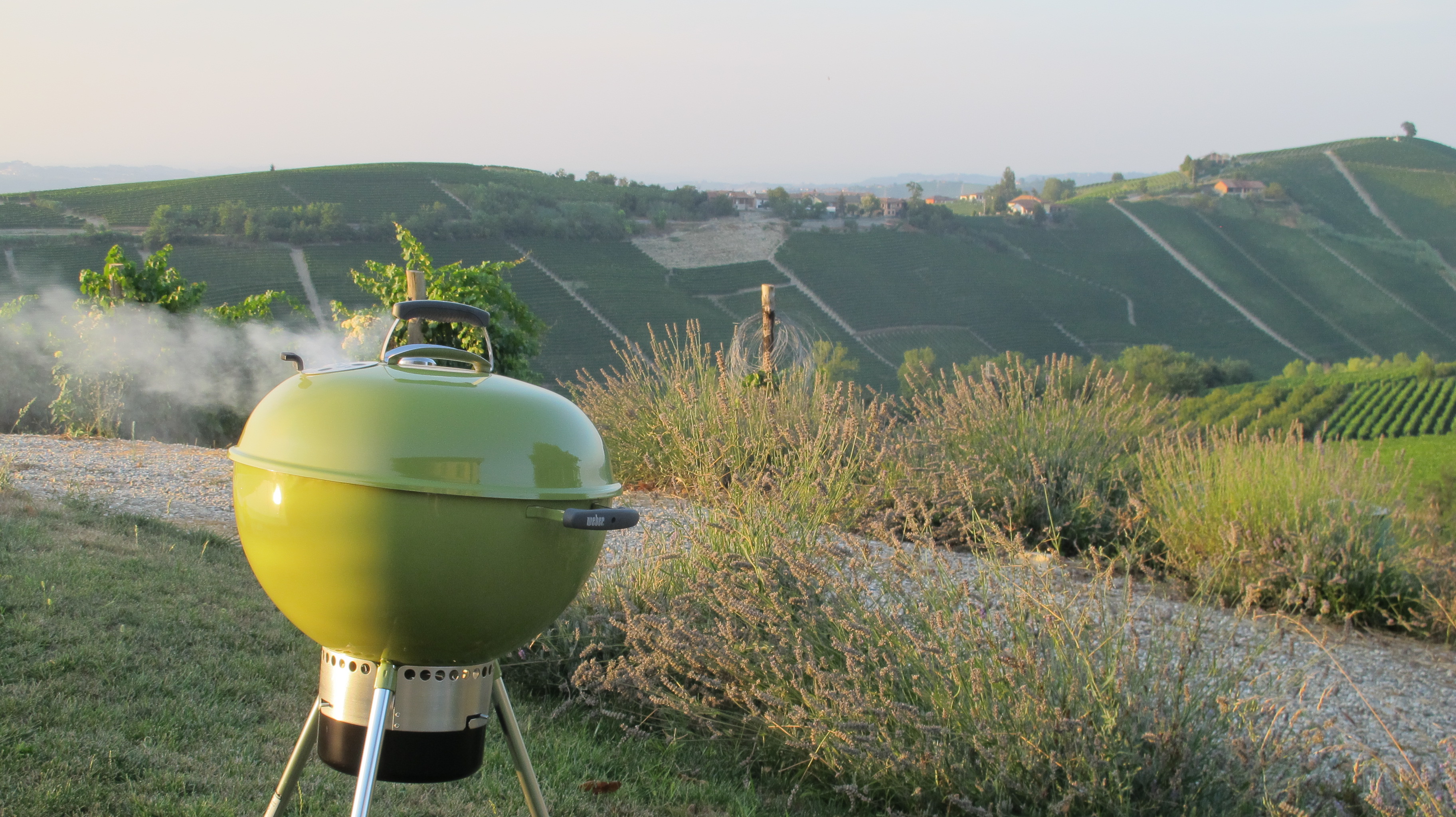 A weber in our vineyards. 