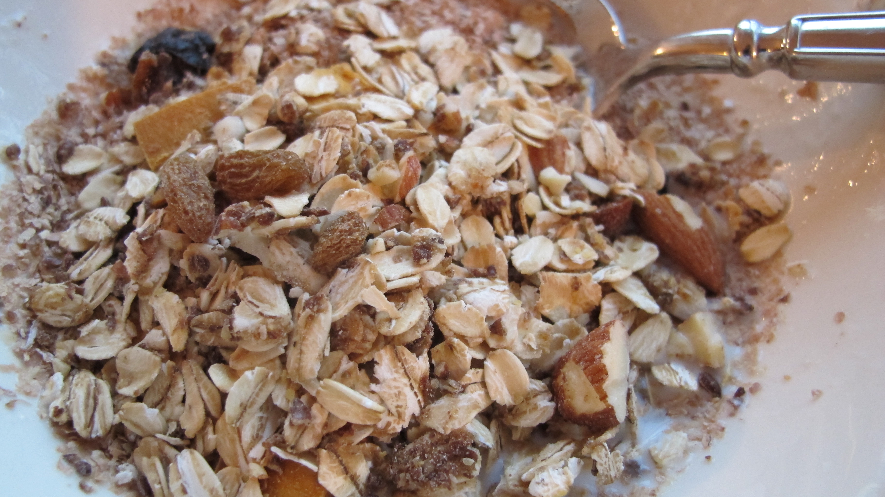 homemade-swiss-muesli-bengusto