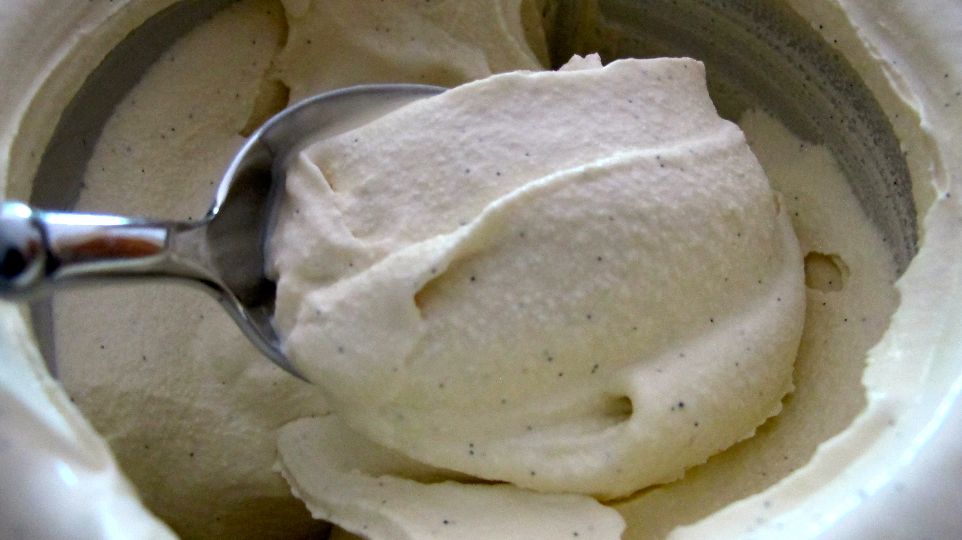 Vanilla Bean Ice Cream