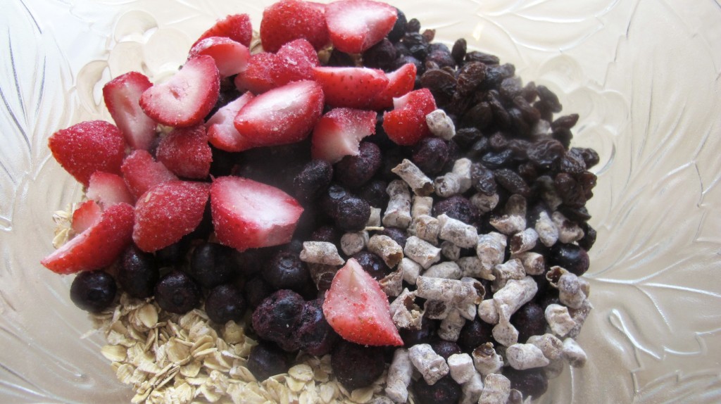 Mix the oats, raisins, dates, strawberries, and blueberries together. 