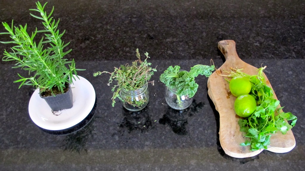 The lesson's vegetable focus: rosemary, thyme, kale, cilantro, and lime. 