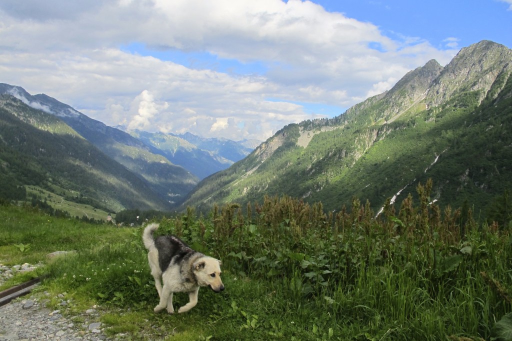 Chipa and Mountains